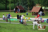 /album/fotogalerie-farma-park-sobehrdy/farmapark-sobehrdy20-jpg1/